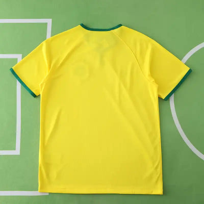 2014 season Brazil home retro Fan version