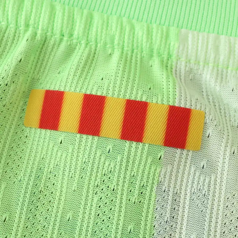 2425 season FC Barcelona / Barça third Player version